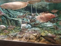 -波塞冬旅游度假区