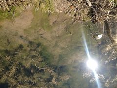 iphone_upload_pic-新江湾城公园