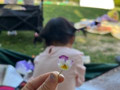 -南通洲际绿博园