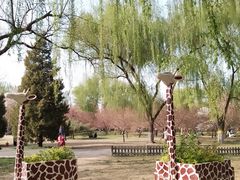 -莲花池公园