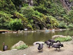 -大理苍山石门关旅游度假区