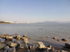 -深圳湾公园(南山区)