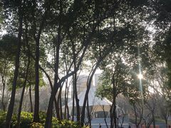 -西安市长乐公园
