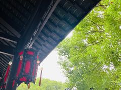 -上海佘山国家森林公园天马山园