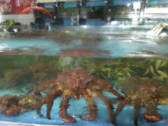 -王庄阿咪海鲜大排档(象园店)