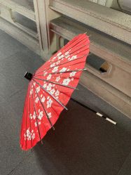 点击看大图 -盘子女人坊古装写真摄影(南京总店)