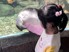 -苏州海洋馆
