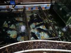 -缘福乡村铁锅炖民宿(八达岭店)