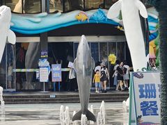 -海合安成都极地海洋公园