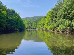 -青龙山国家森林公园