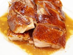 吊烧沙溪米鸭-禄興記香港大排档(歌斐中心店)
