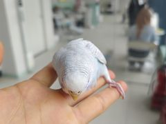 -怪兽屋·羊驼·猫咖·狗咖(俊华广场店)