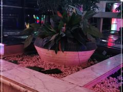 -东方之珠KTV娱乐超市(河北店)