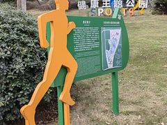 -东岳体育公园