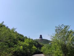 -定都阁