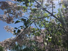 -北京宽沟会议中心