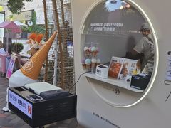 -野人先生现做冰淇淋(北京顺义祥云小镇店)