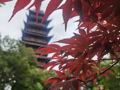 -常熟方塔园