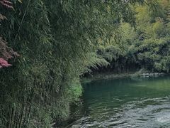 -杭州植物园