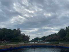 -天津湾西餐厅(三亚海棠湾洲际度假酒店)