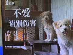 -1点点(国美店)