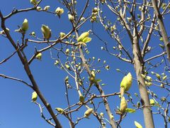 -北京小汤山医院体检中心