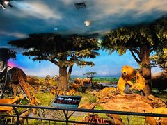 -国家自然博物馆