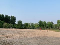 -东郊湿地公园