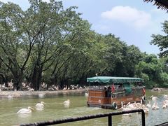 -广州长隆飞鸟乐园
