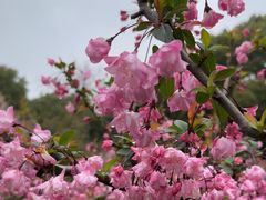 -玄武湖景区-情侣园游乐场