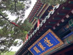 -蓬莱阁景区