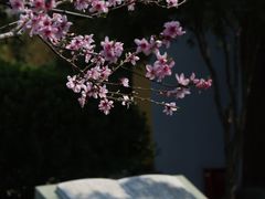 -十里琅珰