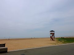 -日照海滨国家森林公园