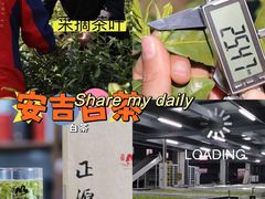 -正源安吉白茶特产享购商场(安吉店)