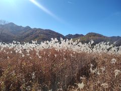 -玉渡山自然风景区