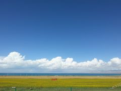 -青海湖国家重点风景名胜区