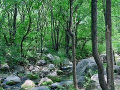 -玉渡山自然风景区