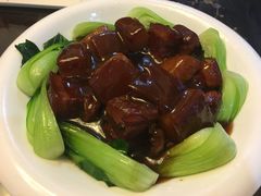-新龙源大酒店(热河路店)