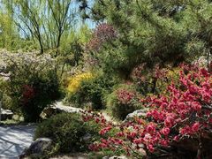 -石家庄市植物园