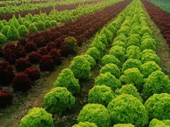 -中国天府农业博览园