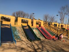 -大兴滨河森林公园