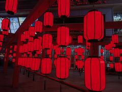 -IPSTAR|潮玩星球(崇文新世界店)