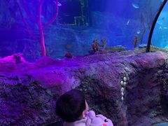 -沈阳海洋探索中心