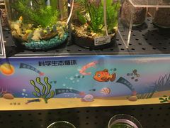 -酷乐潮玩(城西银泰城店)