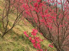 -福清灵石山国家森林公园