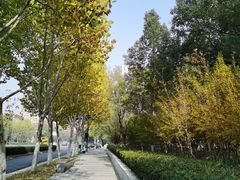 -天鹅湖体育公园