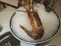 小青龙-川越泰火锅(吉利大厦店)