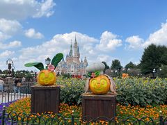 -上海迪士尼度假区