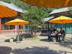 -宫事颐庭·老佛爷贵寿下午茶(颐和园店)