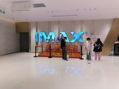 -大世界影城(无锡江南大悦城IMAX激光店)
